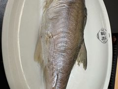 -吴记富苑(朝阳店)