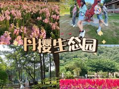-丹樱生态园