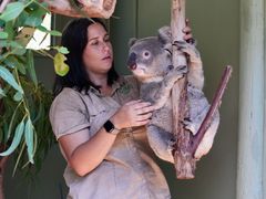 -费瑟代尔野生动物园