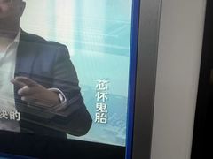 -瑞派天宁宠物医院·猫科·异宠中心