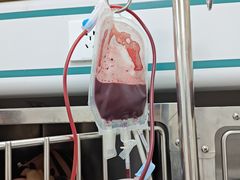 -美联众合动物医院·24h京西诊疗中心