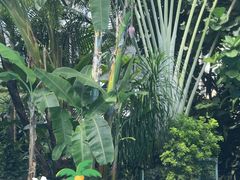 -龙熙温泉水世界