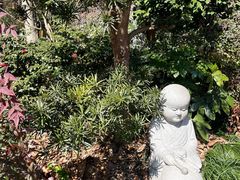 -灵隐飞来峰景区