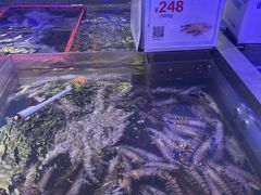 -盒马鲜生(大成店)