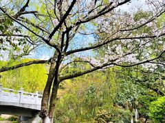 -汤山公园