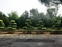 -绿堤公园