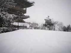 -杭州半山国家森林公园