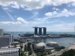 -新加坡瑞士史丹福酒店