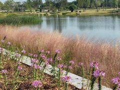 -上海植物园-4号门售票处
