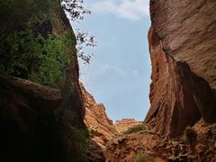 -天山神秘大峡谷