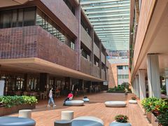 -香港大学