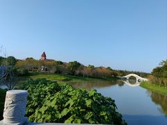 -上海海湾国家森林公园