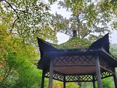 -岳麓山风景名胜区