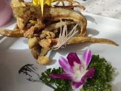 -赵小姐丨新中餐(曲江店)