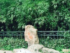 -杭州黄龙洞