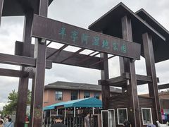 -羊亭河湿地公园