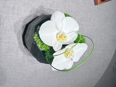 -南堂馆·新川菜(春熙路店)