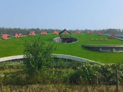 -合肥滨湖国家森林公园