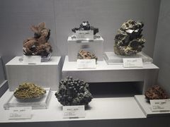 -湖南省地质博物馆