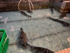 -鱼窝棚柴火铁锅炖(富山屯店)