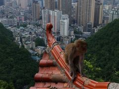 -黔灵山公园