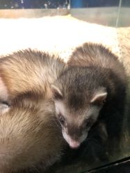 -酷嗒动物文化乐园(cutezoo西溪乐天城店)