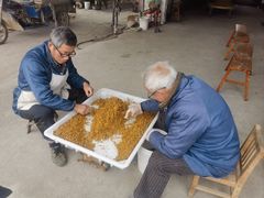 -苏州市吴中区光福窑上花果蜜饯厂