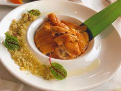 -梧桐餐厅(泉城路店)