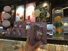 独角兽钥匙圈-COSTA COFFEE(恒基名人购物中心店)