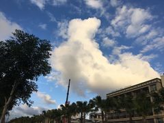 -林旺社区水果市场