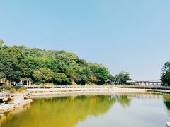 -广州市帽峰山景区