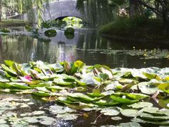 -长白岛森林公园