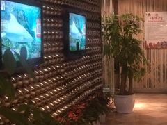-悦汇商务会所KTV夜总会(松江店)