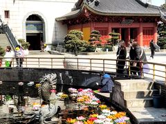 -上海东林寺(金山区)