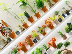 -花点时间(蓝色港湾店)