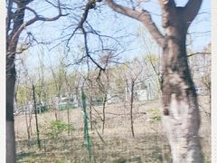 -大兴滨河森林公园