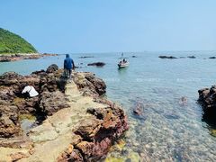 -西涌国际滨海旅游区