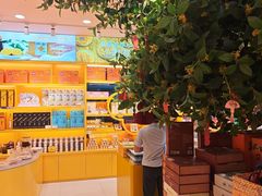 -金顺昌桂林桂花伴手礼(正阳一店)