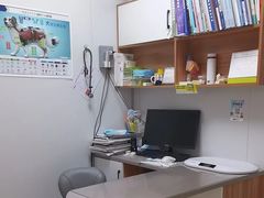 -丹景宠物医院·全科·老年病·牙科(武昌诊疗中心)