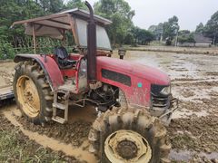 -桤木河湿地公园