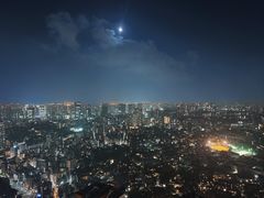 -六本木新城展望台(东京城市景观)