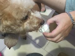 -JW德国冻酸奶Frozen Yogurt(龙湖成都滨江天街店)