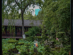 -桂湖森林公园