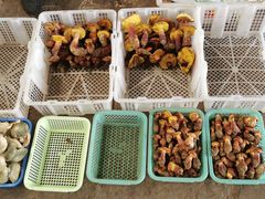 -云南木水花野生菌交易中心