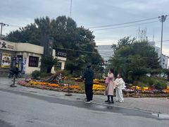 -保定市动物园