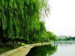 -莲湖公园
