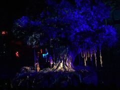 -三亚红色娘子军演艺公园景区