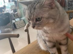 -平行世界·猫咖(首经贸店)