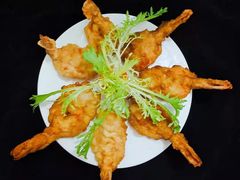 -爱月宝月嫂·育儿嫂(哈尔滨总店)