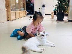 -藏猫猫咖啡主题馆(中央大道店)